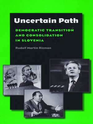 cover image of Uncertain Path